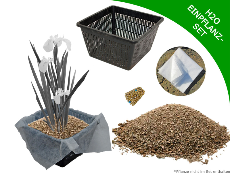 Preview: H2O Einpflanz-Set